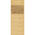 Horsetail Extract Powder Manufacturer - 100% Pure Natural Food Grade Herbal (Equisetum Arvense)