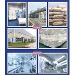 Sea Buckthorn Extract Manufacturer - Fruit Juice Concentrate with Flavonoids