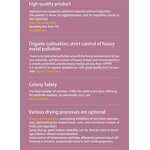 Sea Buckthorn Extract Manufacturer - Fruit Juice Concentrate with Flavonoids