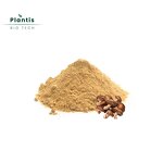 Shiitake Mushroom Extract Powder Manufacturer - Food Grade 10:1 Polysaccharides, Halal Kosher Certified