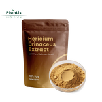 Hericium Erinaceus Extract Manufacturer - 10:1 Food Grade Powder for Cognitive Function & Nerve Health