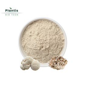 Maitake & Lions Mane Mushroom Extract Powder Manufacturer - 50% Polysaccharide Organic