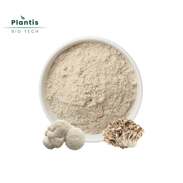 Maitake & Lions Mane Mushroom Extract Powder Manufacturer - 50% Polysaccharide Organic