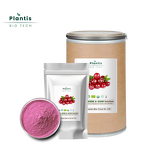 Cranberry Extract Manufacturer - 100% Freeze Dried Natural Juice Powder for Detox & Nutrition