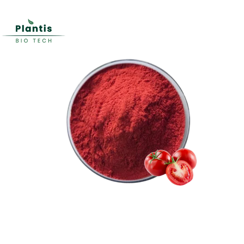Tomato Extract Lycopene Powder Manufacturer - Food Grade Organic, 1%-10% HPLC Tested, Drum Packaging