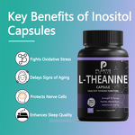 Natural Sleep Support Supplement Manufacturer - 500mg L-Theanine Capsules, Green Tea Extract, Halal Certified