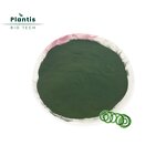 Spirulina Extract Manufacturer - Food Grade Capsules & Powder for Supplements
