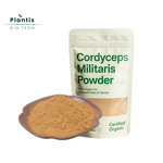 Cordyceps Extract Powder Manufacturer - Organic Food Grade Polysaccharides