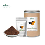 Chaga Mushroom Powder Manufacturer - Organic Solvent Extracted, Food Grade