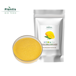 Freeze Dried Mango Juice Powder Manufacturer - 100% Natural Food Grade