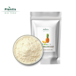 Freeze Dried Pineapple Powder Manufacturer - Factory Direct Supply
