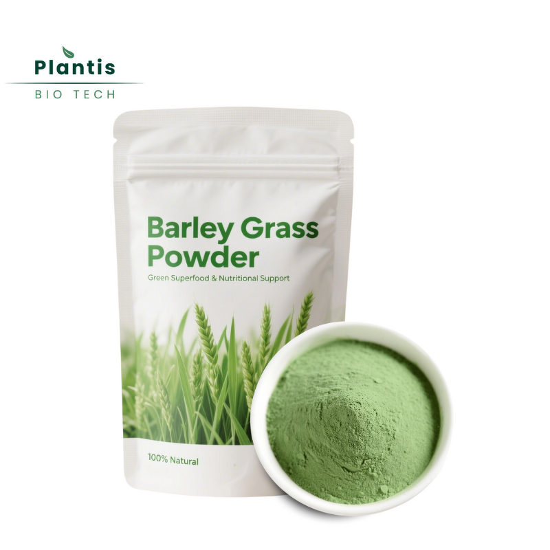 Barley Grass Extract Powder Manufacturer - Green Superfood Nutritional Support