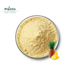 Pineapple Juice Powder Manufacturer - 100% Natural Beverage & Nutritional Ingredient