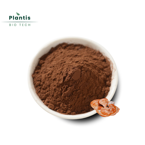 Antrodia Camphorata Extract Manufacturer - 50% Antrodia Cinnamomea Powder