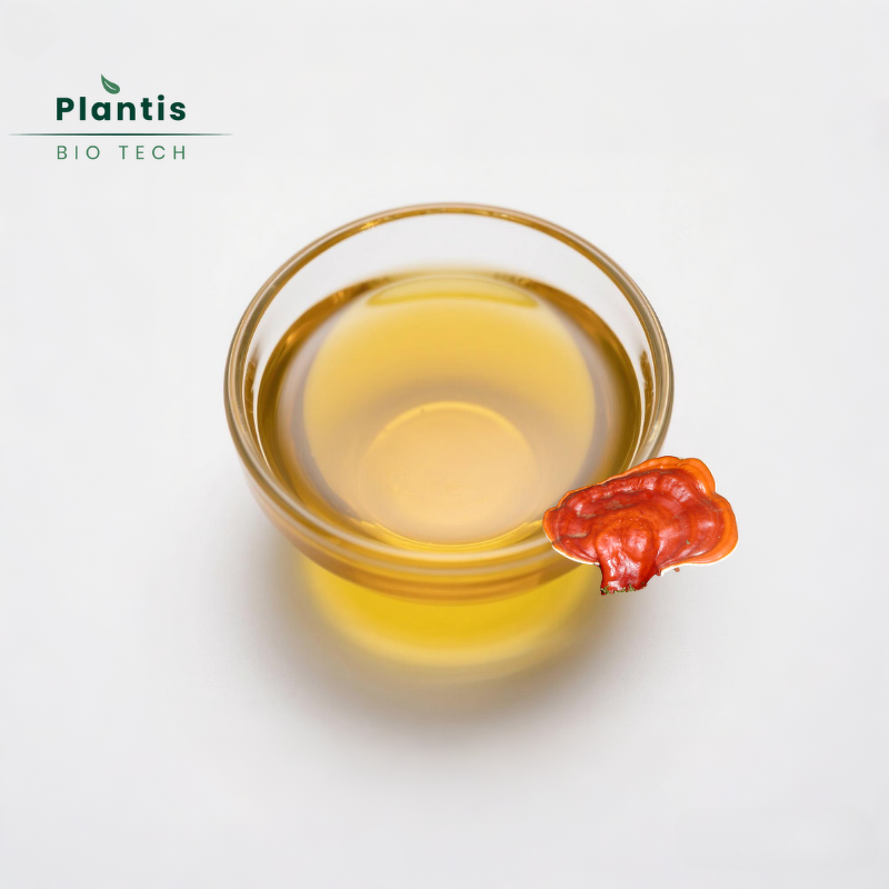 Ganoderma Lucidum Extract Spore Oil Manufacturer - Food Grade 20% Triterpene Reishi Oil in Bottle