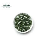 Spirulina Extract Manufacturer - Food Grade Capsules & Powder for Supplements
