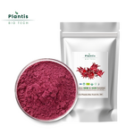 Hibiscus Flower Extract Powder Manufacturer - 100% Natural Organic Roselle