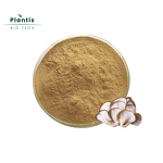 Pleurotus Ostreatus Extract Powder Manufacturer - Food Grade 10:1 Drum Packaging