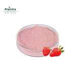 Strawberry Fruit Extract Powder Manufacturer - Water Soluble Juice Powder