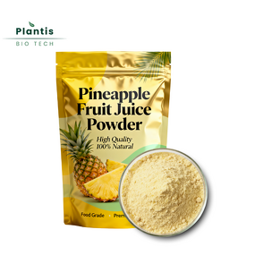 Pineapple Juice Powder Manufacturer - 100% Natural Beverage & Nutritional Ingredient