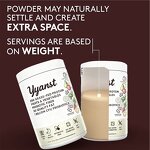 Matcha Green Tea Powder Manufacturer - Organic Weight Loss & Gut Health Drink