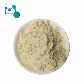 Bee Venom Extract Manufacturer - 99% Pure Powder, Melittin CAS 20449-79-0