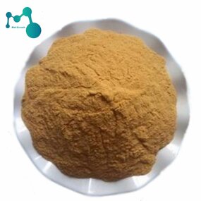 Epimedium Extract Powder Manufacturer - 5% to 20% Icariin for Men's Health