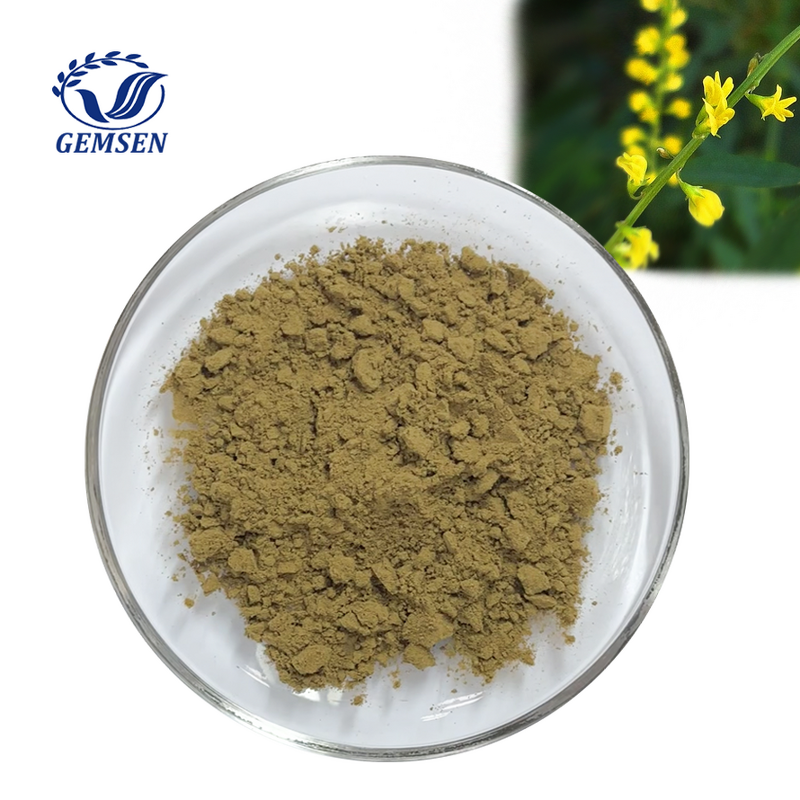Melilotus Extract Powder Manufacturer - 2% Coumarin, Hot Sale