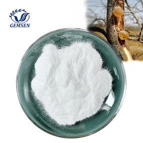 Arabic Gum Powder Manufacturer - Food Grade Acacia Gum (CAS 9000-01-5)