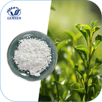 L-Theanine Powder Manufacturer - CAS 3081-61-6