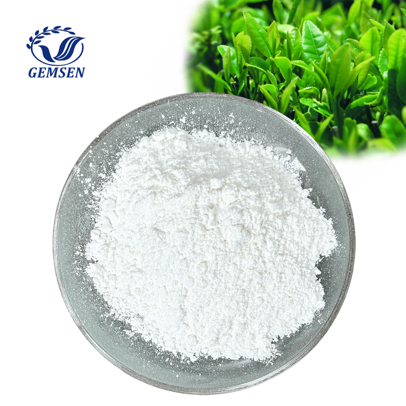 Green Tea Extract Powder Manufacturer - High Purity EGCG 45% 90% 95% 98%