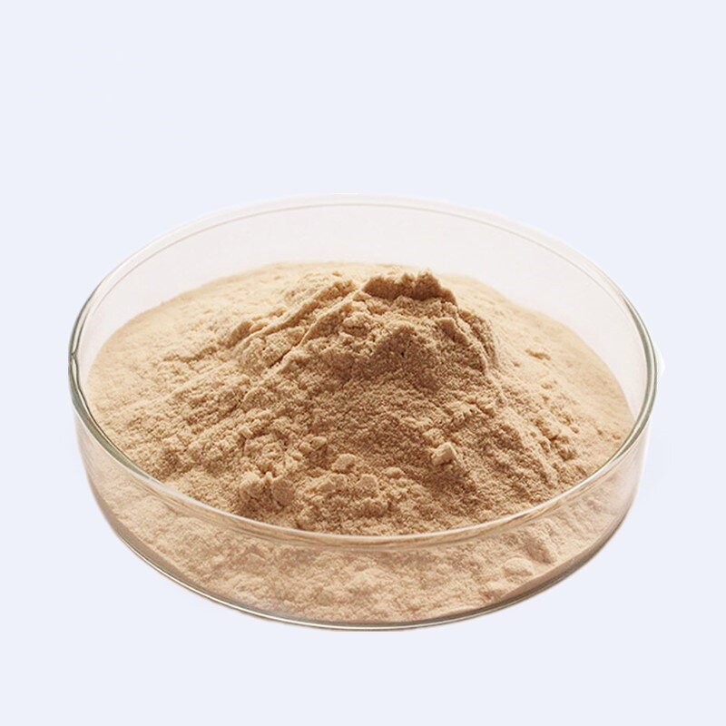 Lions Mane Mushroom Extract Powder Manufacturer - 50:1 Polysaccharides