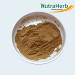 Kanna Extract Manufacturer - Pure Plant Sceletium Tortuosum with Mesembrine