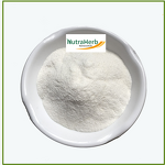 Hydrolyzed Fish Peptides Powder Manufacturer - 90% & 95% Protein, Marine Collagen