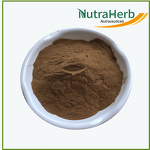 Black Tea Powder Manufacturer - Organic Black Tea Extract