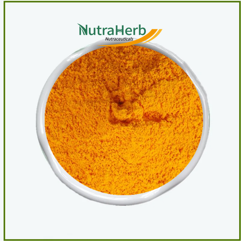 Coenzyme Q10 Powder Manufacturer - Ubiquinol CoQ10 CAS 303-98-0 for Dietary Supplements