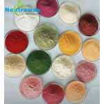 Cordyceps Cicada Extract Powder Manufacturer - Cicada Flower Extract for Lung Benefits