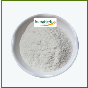 BCAA Powder Manufacturer - Bulk Amino Acids for Drinks & Supplements