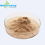 Lions Mane Mushroom Extract Powder Manufacturer - 50:1 Polysaccharides