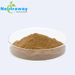 Lion's Mane Mushroom Extract Blend - 7 in 1 with Bioperine for Immune Support