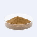 Vegetable Cicada P.E. Manufacturer - Ophiocordyceps Sobolifera Extract Powder