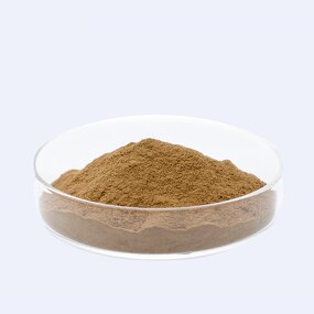 Vegetable Cicada P.E. Manufacturer - Ophiocordyceps Sobolifera Extract Powder
