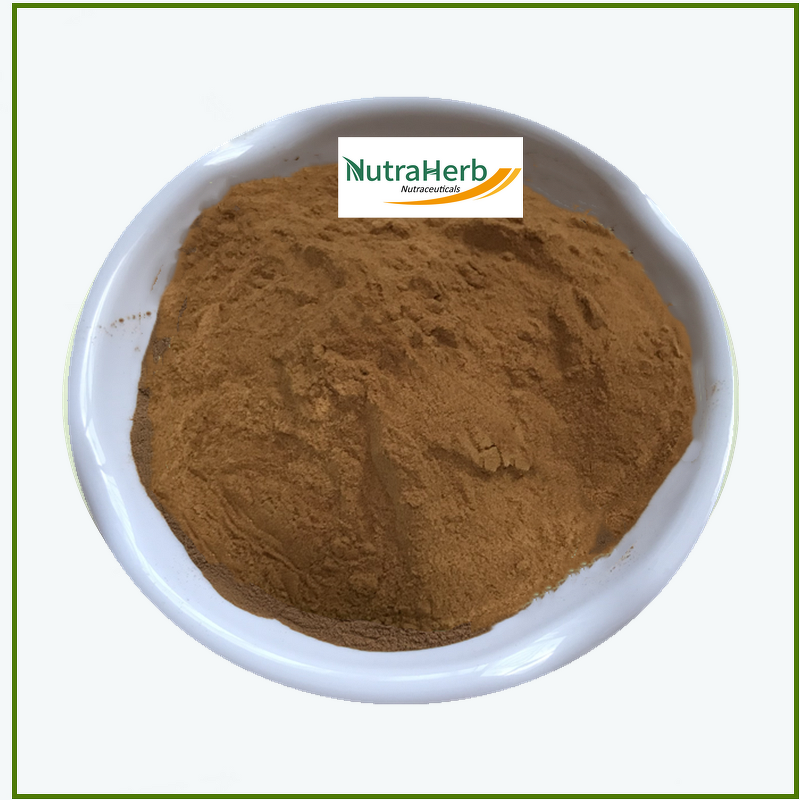 Voacanga Extract Powder Manufacturer - Voacanga Africana for Food Additives