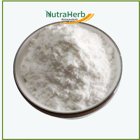 Biotin Powder Manufacturer - 99% D-Biotin for Hair Growth Supplement