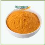 CoQ10 Powder Manufacturer - 10% and 98% Bulk Coenzyme Q10 Supplement