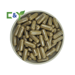 Turkey Tail Mushroom Extract Manufacturer - Capsules & Powder
