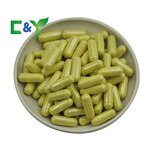 Berberine Capsules Manufacturer - Private Label Dietary Supplement Powder