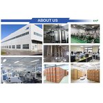 Lion's Mane Powder Manufacturer - Organic Extract & Capsules