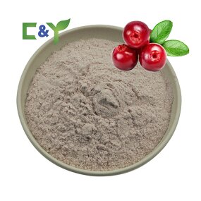 Cranberry Powder Manufacturer - Wholesale Cranberry Extract & Supplements