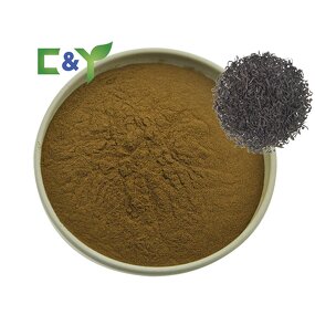 Ceylon Black Tea Manufacturer - Wholesale Black Tea Powder & Extract